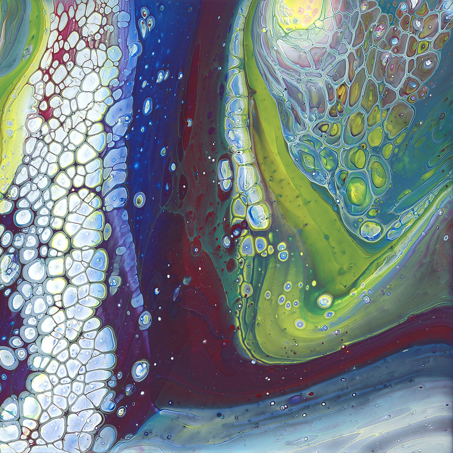 Chloroplast